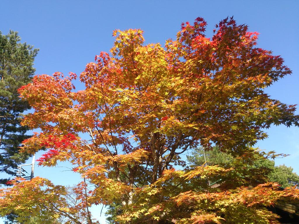 Runesu Karuizawa 北轻井泽 外观 照片